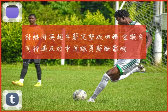孙继海英超年薪完整版回顾 金额合同待遇及对中国球员薪酬影响